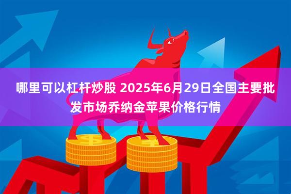 哪里可以杠杆炒股 2025年6月29日全国主要批发市场乔纳金苹果价格行情